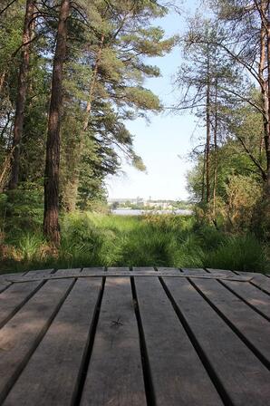 Vue-sur-l-Etang-et-l-Abbaye-de-Paimpont.JPG