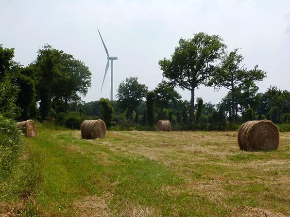 Le-parc-eolien-PIT-SMBMSM.JPG