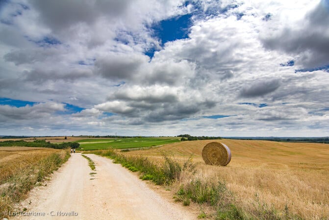 Chemin blanc en Quercy Blanc--© Lot Tourisme - C. Novello.jpg