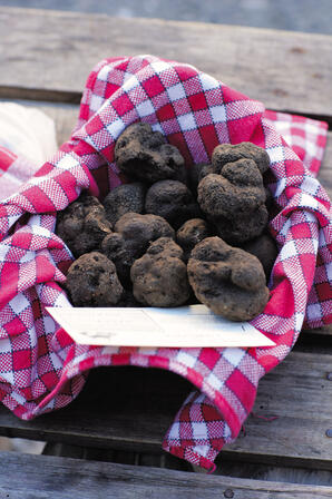 panier truffes.jpg