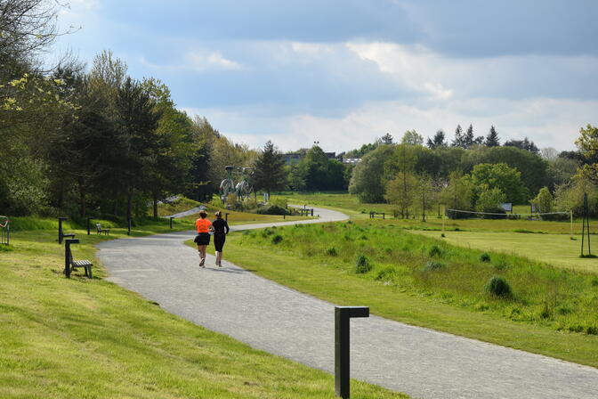 2024-04-23-PARC-CHENE-JOLI--23-.JPG