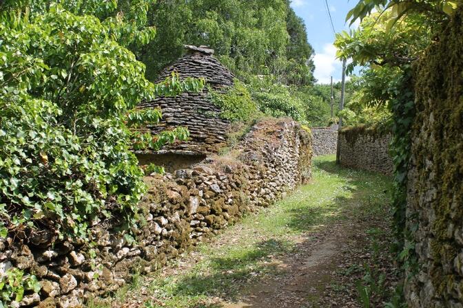 chemin-nerval-salamandre.JPG