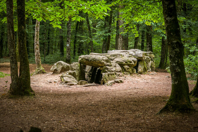 Allee-couverte-de-La-Roche-aux-Fees---Foret-du-Mesnil---Tresse-Rodolphe-Marics-1154-1200px.JPG