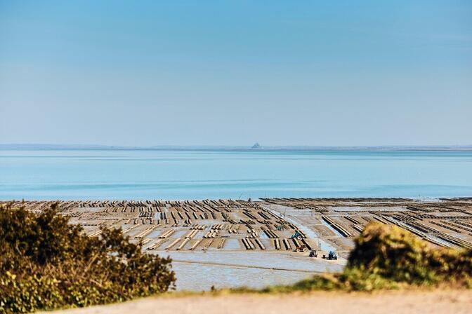 Les-parcs-a-huitres---Cancale-Alexandre-Lamoureux.JPG