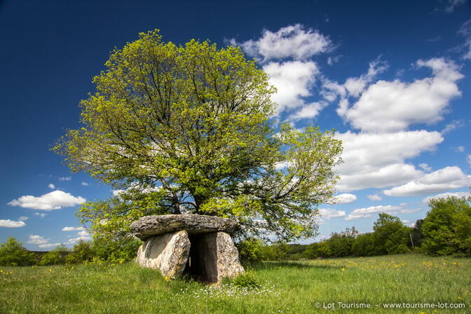 Dolmen à Varaire © Lot Tourisme - C. Novello 160429-115608_800x533.jpg