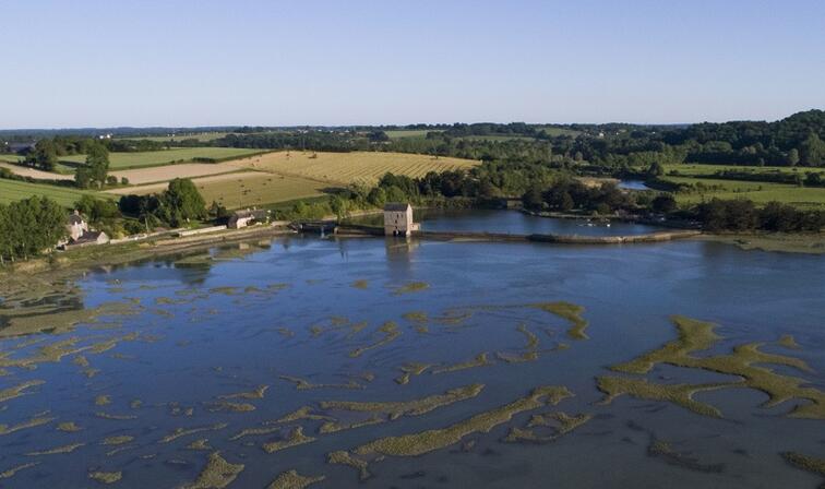 -Stephane-Maillard---moulins-a-maree--Saint-Pere-Marc-en-Poulet.jpg