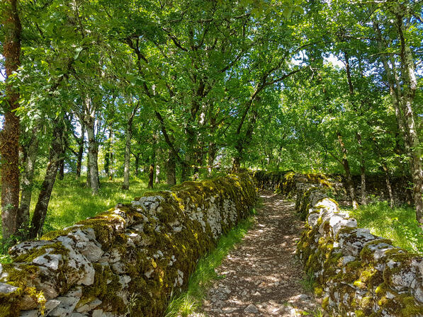 Circuit ENS de la Couasne de Floirac © Lot Tourisme - A. Leconte 180601-171123.jpg