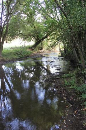 Sentier-le-long-du-Canut.JPG