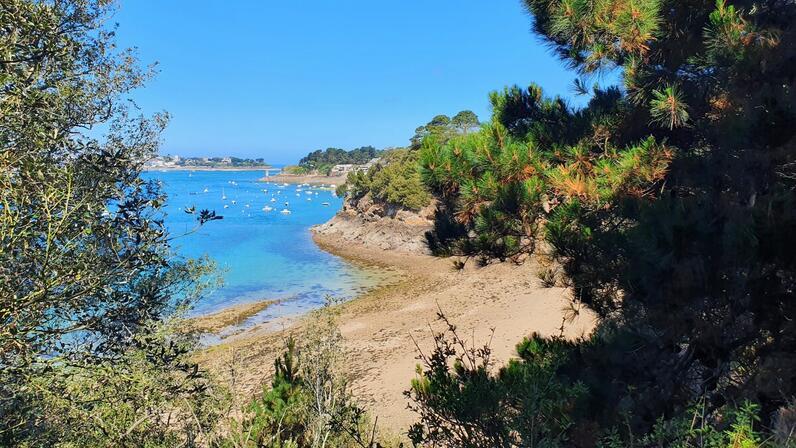 Vue-du-GR-34---Les-Corbieres---Saint-Servan--Saint-Malo-SMBMSM-3815-1200px.JPG