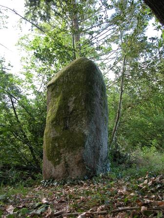 Menhir-de-Fixard-2.jpg