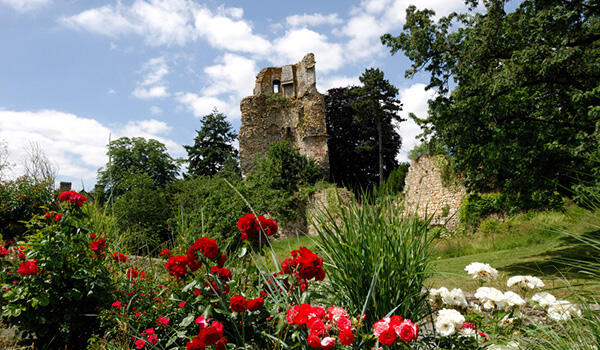 Saint-Aubin-du-Cormier-ruine-Yannick-Le-Gal.jpg