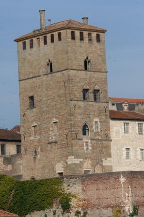 Palais de Via vue d'ensemble, © P. Lasvènes ville de Cahors.JPG