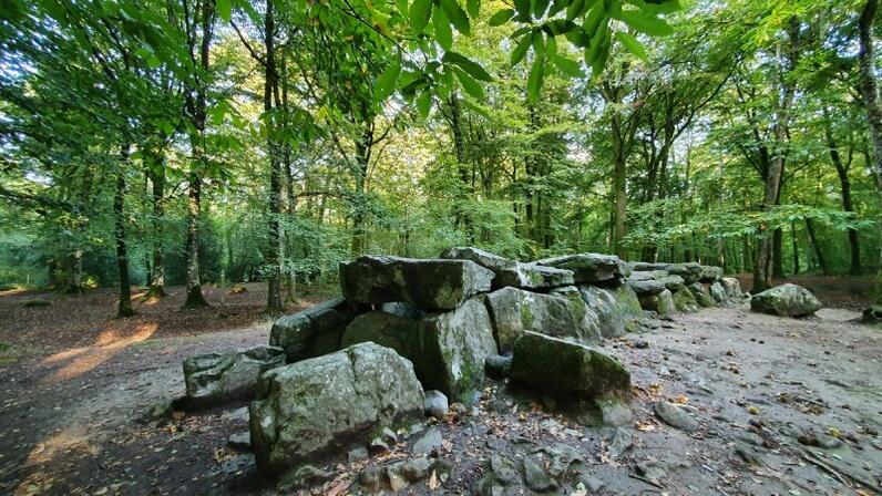 Allee-couverte-de-la-Foret-du-Mesnil---Tresse-SMBMSM-651-1200px.JPG