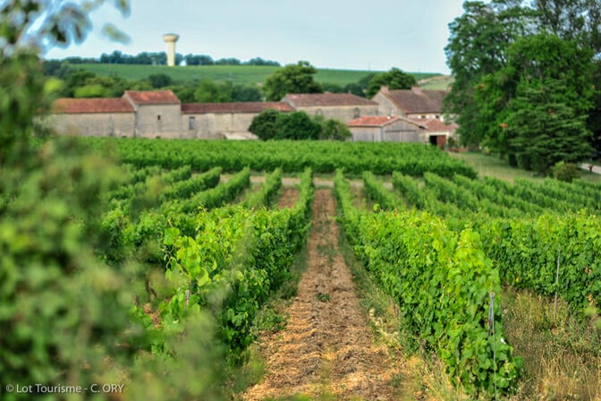 Château Lacapelle-Cabanac - Chai--© Lot Tourisme - C. ORY.jpg