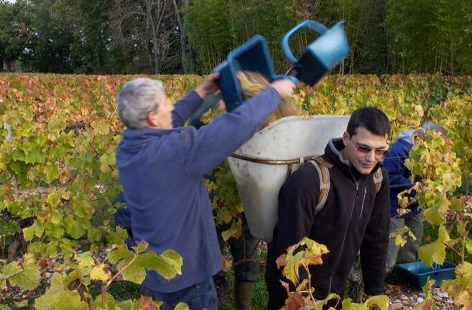 Vignoble de Cahors--Lot Tourisme - Y. Conforti.jpg