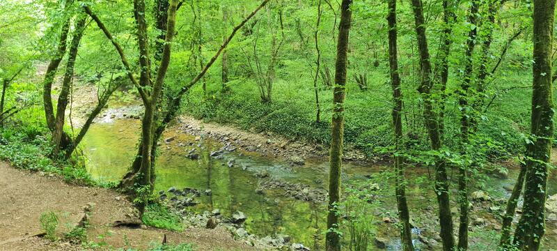 Le long de l_Alzou, au printemps©Département du Lot.jpg