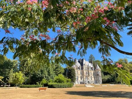 CHATEAU.jpg