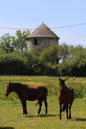 Moulin-et-chevaux---Saint-Jouan-des-Guerets-SMBMSM-3255-1200px.JPG