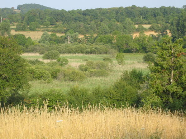 Réserve naturelle Marais de Bonnefontmarais.JPG