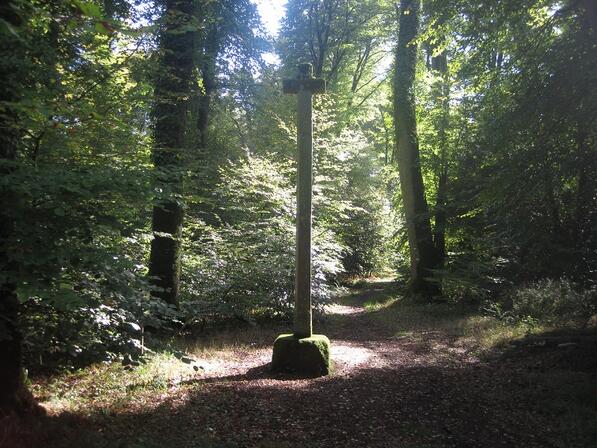 Croix-Montauge-Foret-de-Villecartier-Bazouges.JPG