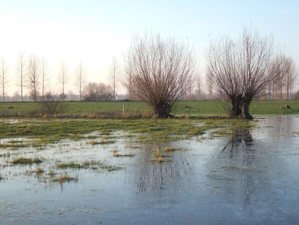 Velo-promenade-Marais-du-Couesnon-Marais-d-Aucey--c-Mickael-Mary.JPG