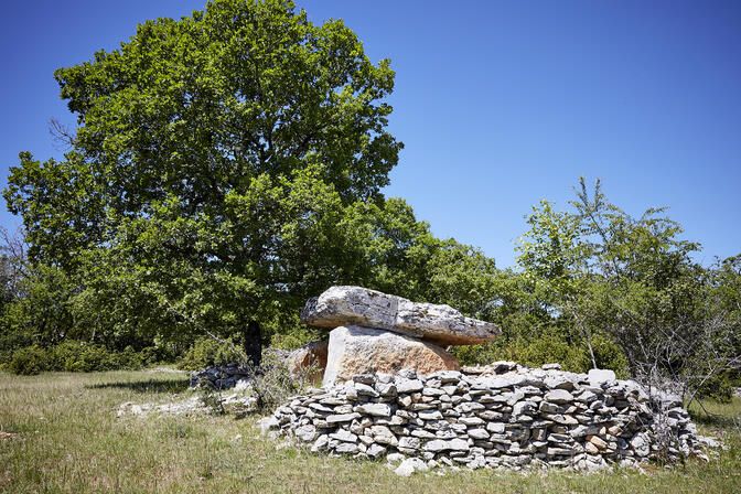 Dolmen © Nelly Blaya-Département du Lot.jpg