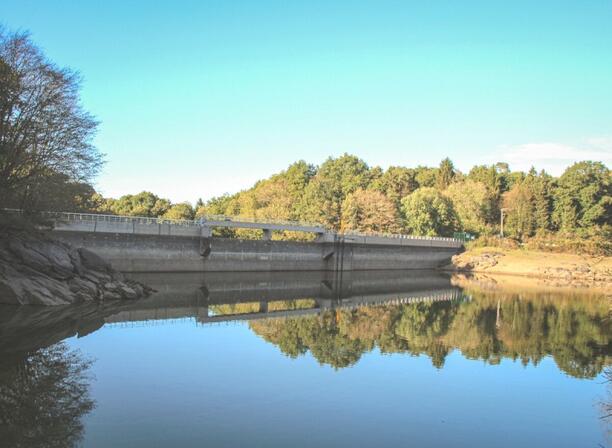 Randonnee-dans-la-foret-du-Mesnil---Tresse---Le-Tronchet-SMBMSM-5677-1200px.JPG