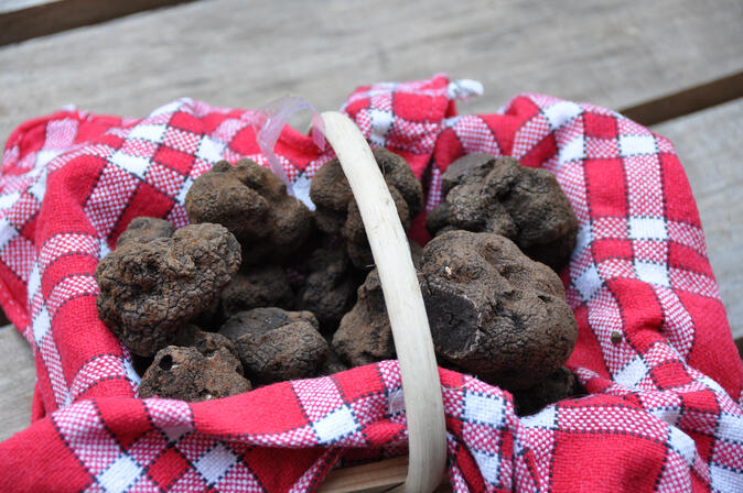 Panier de truffes Lot Tourisme-Christiane Roques 120221-145827.jpg