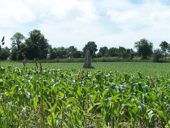 -CdC-Pays-de-Dol-BMSM---menhir-St-Marcan.jpg