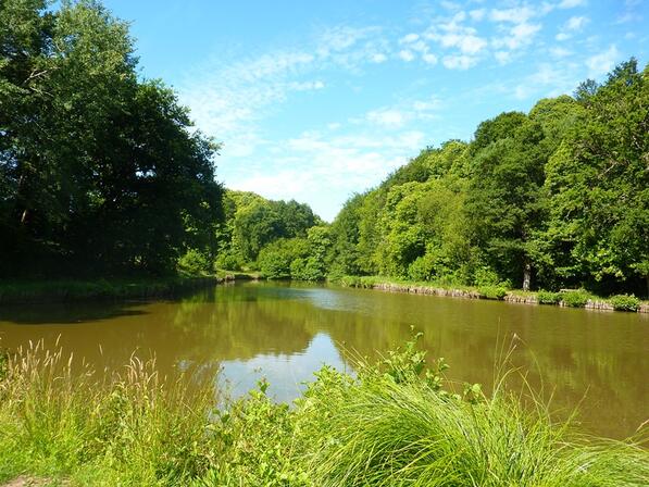 PIT-SMBMSM-Etang-de-Pont-Perrin.JPG