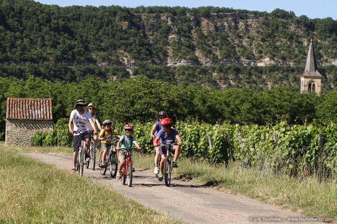 A vélo dans les vignes - Véloroute Vallée du Lot © Lot Tourisme - P. Foresti-Mediart360 150624-173412_1024x682.jpg