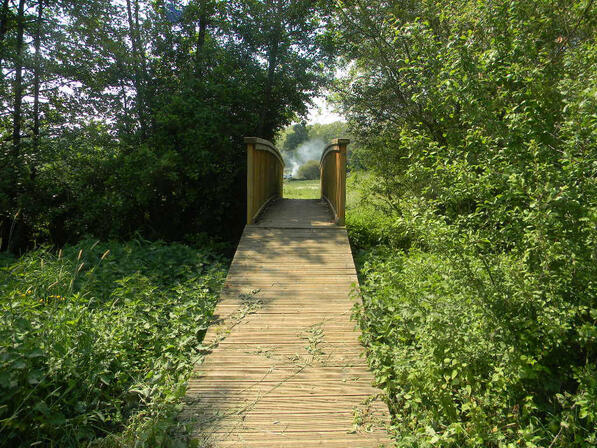 ITI72-la-passerelle-des-vallees-voivres.jpg