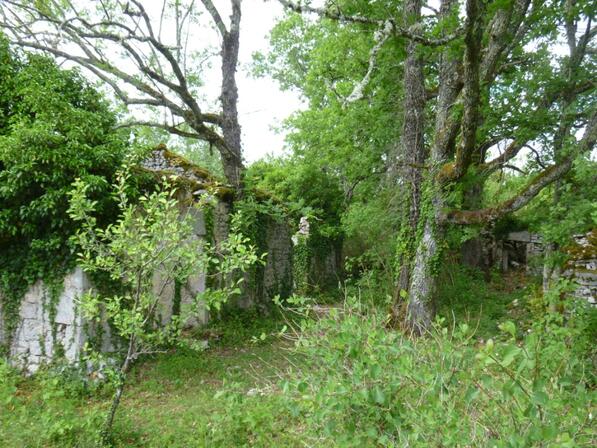 ferme ruines © G. Messal.JPG