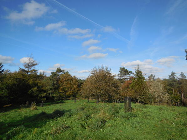 hauteurs-de-l-arboretum-du-Pave.JPG