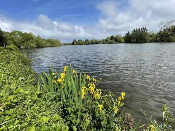 Etang-de-Sainte-Suzanne---SMBMSM.jpg