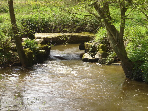 Quemperven-pont-romain.JPG