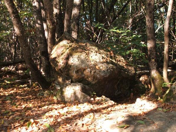 Dolmen-de-Peyrebrune-Saint-Aquilin-4.jpg