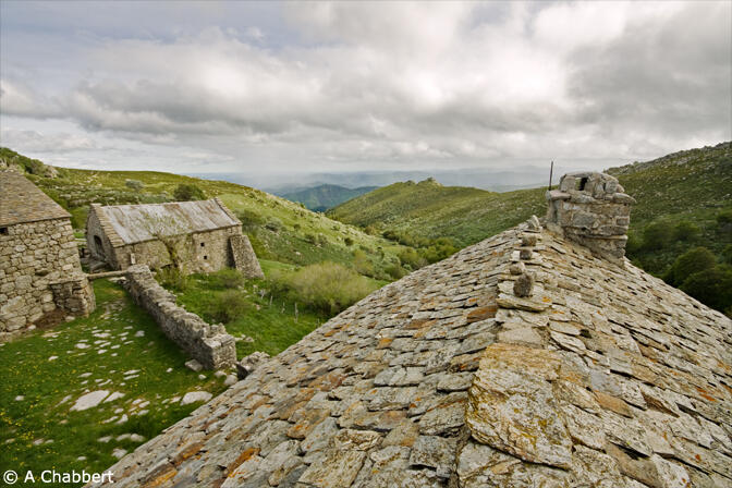 Mont-lozere.jpg