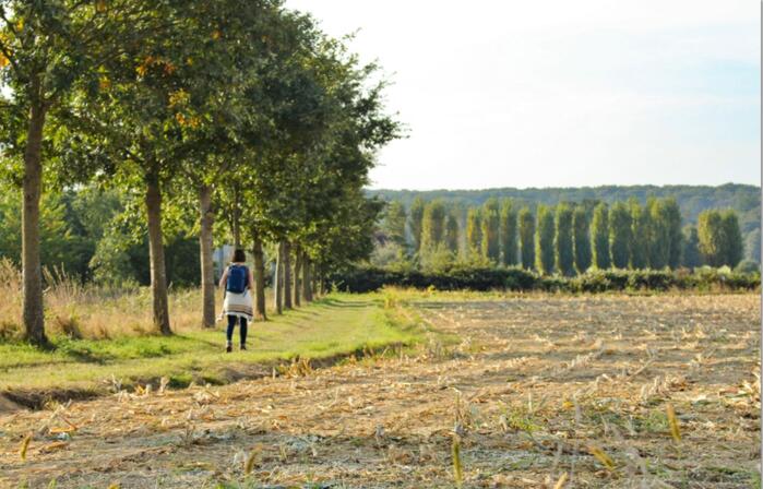 Breteil-bocage.JPG