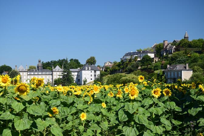 sur-les-remparts.jpg