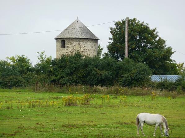 ancien-moulin-a-vent-du-Tertre--OTSMBSM-2.JPG