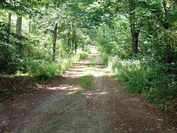 Chemin-du-val-Campel.jpg