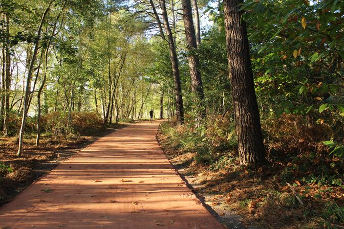 Nouveau-sentier-autour-du-Lac---oct---nov-2018--7--4.JPG