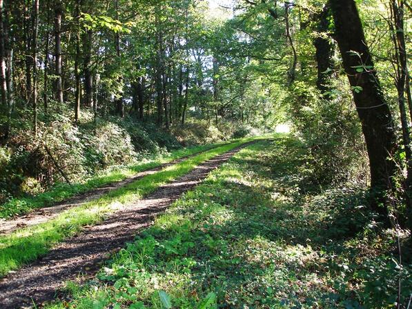 Sentier-vers-pont-de-la-Jetais--CDC-de-Maure-de-Bretagne-800x600.jpg