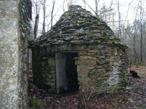 cabane-de-la-tronce--5-.JPG