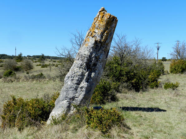 menhir 1.jpg