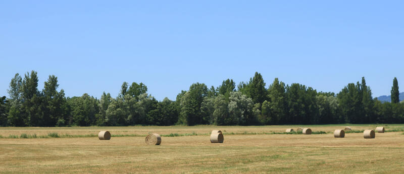 StMichel de B. Aubazine-vers Condat -vue sur la campagne.jpg