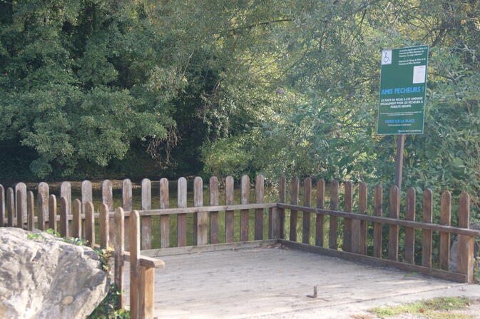 DSC04848.JPG