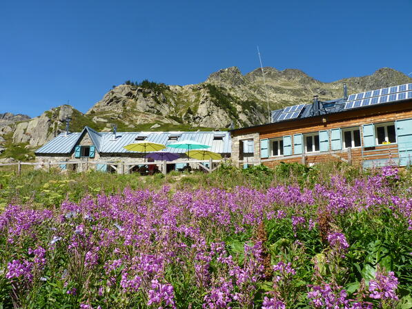 En Beys-Refuge fleuri.JPG