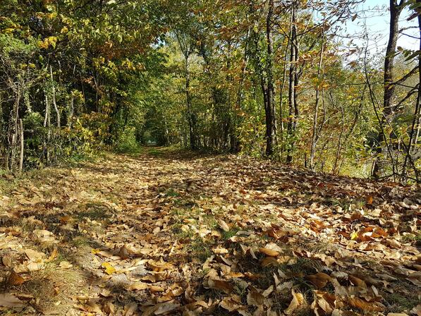 Circuit-de-la-Marquise---Plesse-17-09-2020--40--2.jpg